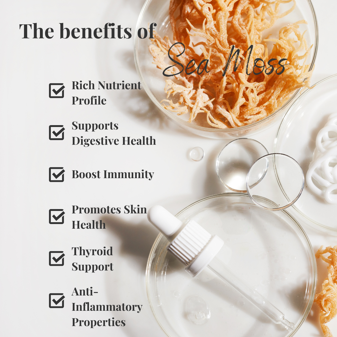Ginger Infused Sea Moss Gel 380g